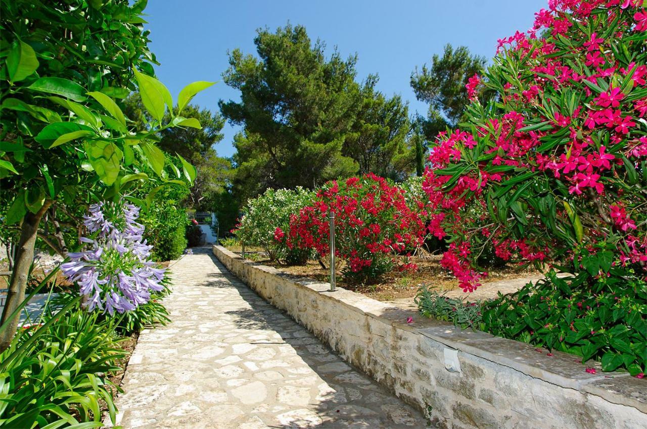 Waterfront Villa With Pool Vela Luka Exterior foto