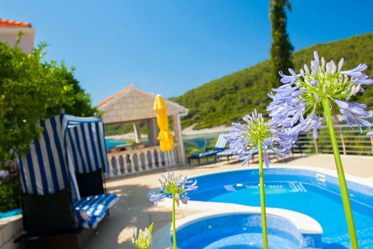 Waterfront Villa With Pool Vela Luka Exterior foto